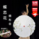 坤隨中國風(fēng)印花吊頂裝飾傘走秀舞蹈旗袍表演道具古風(fēng)工藝傘綢布傘 【蝶戀花】油紙傘1把+傘袋*1