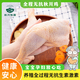秋川雞雞腿肉 帶骨腿肉 無抗生素激素 500g/袋  無抗雞腿 無抗雞 土雞帶骨腿肉