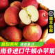 南非進(jìn)口牛頓小蘋(píng)果【順豐快遞】當(dāng)季鮮脆甜多汁富士迷你冰糖蘋(píng)果 60mm以下 單顆80g-120g 1000g【約10顆左右】