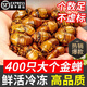 妙普樂知了猴新鮮活體【順豐多地次日達(dá)】2025新貨鮮活冷凍金蟬爬叉蟬蛹 【精選A級(jí)】金蟬400只