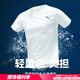 彪馬（PUMA）速干t恤男 25夏季新款跑步運動服寬松dry科技吸濕透氣冰絲短袖T恤 【主推冰絲款】527344-02/吸濕速干 L 180【推薦體重140-160斤】
