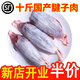 促銷新鮮10斤腱子肉現(xiàn)殺整根前腱后腱低脂健身豬肉非牛肉牛腱子 5斤裝（送鹵料包) 順豐包郵,急速發(fā)貨