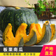 京鮮生 內(nèi)蒙板栗南瓜5斤單果750g+ 寶寶輔食 健康輕食 源頭直發(fā)