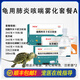 榮愛(ài)寵烏龜用霧化套餐感冒肺炎藥草龜巴西龜張嘴呼吸急促浮水呼吸道感染 龜用感冒肺炎套餐a【只有藥】