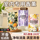 光多拉空氣清新劑衛(wèi)生間廁所專用香薰房間室內(nèi)臥室持久留香除臭劑三瓶裝