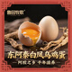 【魯園牧歌】初生蛋烏雞蛋土雞蛋笨雞蛋現撿現發(fā)新鮮雞蛋農家散養 烏雞初生蛋禮盒30枚