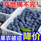 果農(nóng)現(xiàn)摘正宗國產(chǎn)云南當(dāng)季藍(lán)莓新鮮水果藍(lán)莓水果藍(lán)莓果水果 2盒【偏小果嘗鮮】 特大果約125克/盒