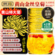 貢苑菊花茶30大朵安徽黃山金絲皇菊特一杯一朵獨立包裝級貢胎菊金銀花