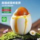 郵星高郵咸鴨蛋個大流油整箱揚(yáng)州特產(chǎn)好吃的即食熟咸蛋中秋送禮團(tuán)購 超大10枚700g流油咸蛋簡裝