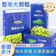 京地達(dá)葡萄陽光玫瑰葡萄晴王凈重3.8斤單果均12g+新鮮水果禮盒源頭直發(fā)