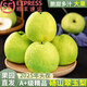 梨子正宗翠冠梨酥梨當季水果新鮮現(xiàn)摘碭山冠整箱青梨香梨雪梨包郵 3斤青皮蜜梨【單果250g+】