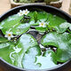 采緹（CAITI）水碗蓮一葉蓮 帶花苞睡蓮荷花大號(hào)小葉迷你水生家用睡蓮?fù)肷徎?小葉4片7-10公分 不含盆