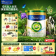 美素佳兒（Friso）皇家莼悅較大嬰兒配方奶粉 2段（6-12個月） 皇家莼悅有機(jī)2段 800g 1罐