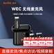 神牛（Godox）一拖二無線降噪領(lǐng)夾麥克風(fēng)WEC小蜜蜂手機(jī)直播單反相機(jī)收音麥 神牛WEC麥克風(fēng) 一拖一套裝 官方標(biāo)配+蘋果手機(jī)轉(zhuǎn)接線