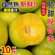 山姆大叔四川巫山脆李脫骨李【送貨上門】青紅脆李李子水果禮盒中秋禮品 頭茬甄選果丨單果15-18g丨狠甜 凈重5斤裝【80%選擇-超劃算】