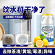 放心家飲水機除垢劑開(kāi)水機水垢污垢清除劑水桶水箱食品級除青苔水藻異味 【飲水機除垢劑】1瓶裝