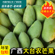 廣西現摘大臺農芒果10斤整箱新鮮應季臺芒生鮮水果 5kg