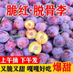 四川汶川脆紅李子3/5斤新鮮水果脫骨李子脆甜珍珠李整箱青紅脆李 3斤【帶箱實(shí)惠中果】