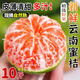 三萌果蔬云南蜜桔酸甜口感特早熟桔子青皮蜜橘新鮮水果當(dāng)季整箱孕婦柑子 5斤甄選果【單果60mm+】?jī)?.5斤