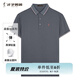 才子（TRIES）商務(wù)休閑POLO衫夏季短袖撞色條紋翻領(lǐng)T恤桑蠶絲柔順透氣時尚上衣 灰色 XL 50(175/92A)