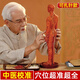 酷茵針灸穴位人體模型可扎針經(jīng)絡(luò)全身中醫(yī)小皮人銅人標(biāo)準(zhǔn)十二H 62cm女銅色軟模更準(zhǔn)確可扎針
