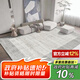 七棉水晶絨客廳地毯 耐臟防滑易打理 夕顏 現(xiàn)代簡約 200*300cm