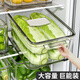 DaisyのLeaf大號冰箱收納盒保鮮盒食品級專用水果盒蔬菜雞蛋冷凍大容量儲物盒 10000ml【特大號】3個 帶瀝水托盤