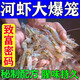 ROHDE誘河蝦專用餌料強力爆籠四季誘蝦黃鱔泥鰍藥萬能強力捕蝦誘食劑 買二送一【河蝦爆滿籠】