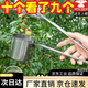 饃彭摘酸棗專(zhuān)用工具加厚不銹鋼神器家用采摘山棗摘藍莓番茄枸杞摘果神 材質(zhì)-不銹鋼摘棗神器