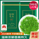 保銀茶葉信陽毛尖2025新茶春茶雨前特級嫩芽濃香型250g*2罐送禮品袋