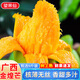 京地達(dá)廣西芒果金煌芒大芒果凈重9斤單果350g+新鮮水果孕婦水果源頭包郵