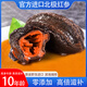 冰島北極紅參進(jìn)口即食海參冷凍原裝野生加拿大紅極參無(wú)添加圓筒參 10年參齡6斤30只【一月滋補(bǔ)】