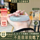 仟喜梵“葦曳秋聲”緬甸高冰種翡翠玉手鐲子女款純色冰透玉石翡翠(處理) “葦曳秋聲”翡翠手鐲 54mm-55mm（現(xiàn)貨現(xiàn)發(fā)）