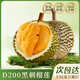 麓鵲黑刺榴蓮冷凍生鮮水果D200 2.0-2.5斤【AA級當季新果 巴掌榴蓮】