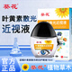 葵花葵花藍莓葉黃素散光近視滴眼液緩解疲勞干澀兒童通用護眼非眼藥水