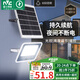 雷士（NVC）太陽能戶外照明燈室外庭院燈路燈投光燈光控遙控402lm+約25m2