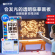 時(shí)光學(xué)兒童發(fā)光透明臨摹畫(huà)板益智玩具可反復涂鴉繪畫(huà)男孩女孩新年禮物