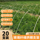 芷郁玻璃鋼拱棚支架塑料大棚支撐架拱形架防雨園藝拱桿4mm*1.5米20根