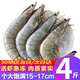 望涎大蝦白蝦鮮活冷凍對(duì)蝦基圍蝦加量4斤節(jié)日送禮 15-17cm 4斤(凈重)