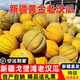 新疆老漢瓜【順豐空運——配送到家】火焰蜜瓜吐魯番正宗新疆水果 黃金老漢瓜【新疆順豐空運】 8-9斤【1-2枚裝】清香發(fā)酵蜜瓜