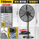 揚子大風(fēng)力工業(yè)強力落地扇大功率風(fēng)扇工廠(chǎng)工業(yè)風(fēng)力搖頭扇車(chē)間電風(fēng)扇商用掛壁扇 750塑葉落地扇【銅芯電機】