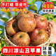 甜果源 四川大涼山丑蘋(píng)果 鹽源冰糖心高山脆甜蘋(píng)果健康輕食應季新鮮水果 凈重5斤【80%人選】 單果80-85mm【大號果】
