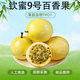 欽蜜黃金9號黃金百香現摘現發(fā)百香果酸甜可口新鮮水果黃金百香果 3斤【單果30-45g】?jì)糁?.5斤
