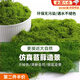 曇蓓漫仿真絲狀苔蘚綠色微景觀布置假草坪魚缸造景盆景造景鋪面diy材料 【50g】絲狀苔蘚（可鋪設(shè)60*30CM） 可放魚缸丨隨意造型丨經(jīng)久耐用