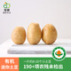 旭耕 有機(jī)迷你土豆500g 馬鈴薯黃心小土豆洋芋 粉糯寶寶輔食 500g （1斤約8-10個(gè)）
