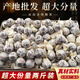 俏勤云南普洱茶龍珠熟茶散裝大分量冰島臨滄古樹普洱茶原產(chǎn)地批發(fā)包郵 冰島龍珠熟茶2斤裝