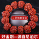 山中玉金剛菩提手串爆肉龍鱗紋手鏈項(xiàng)鏈男士原籽佛珠生日禮物男 機(jī)刷款五瓣19-20mm深度清理+工具