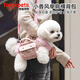TAIGEPETS【可背 可提 可牽引】小香風狗包背包外出寵物小型犬便攜單肩貓包 粉色寵物包【可背 可提 可牽引】 M碼【建議8斤內狗10斤內貓】
