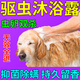 正康佰邦金毛驅(qū)蟲沐浴露貓狗通用殺菌除臭留香洗澡止癢除螨蟲虱子跳蚤蜱蟲 500毫升 1瓶【試用裝】