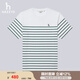 哈吉斯（HAZZYS）男裝 夏款男上衣橫條紋圓領(lǐng)短袖T恤男ASTZE0BBE72 白色WT XL (180/100A 50)